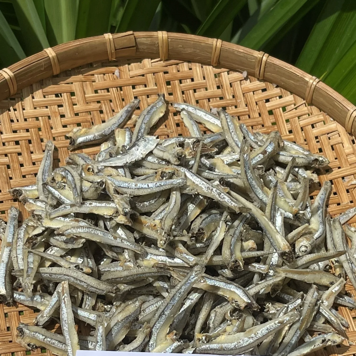 L1 (4-6cm) Organic Trans-Fat Free Ho Nam Dried Anchovies Frozen with Head HACCP Preserved Bulk Pack Food Safety Certified