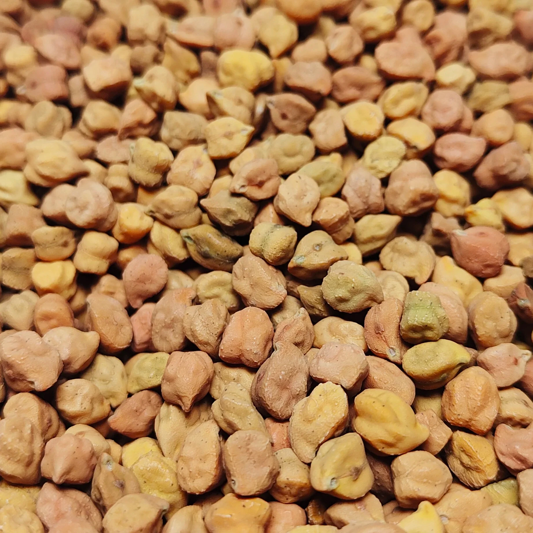 Premium Ethiopian Desi Chickpeas, 2024 Crop, Handpicked, Export Standard, Bulk Export Best Price Kabuli