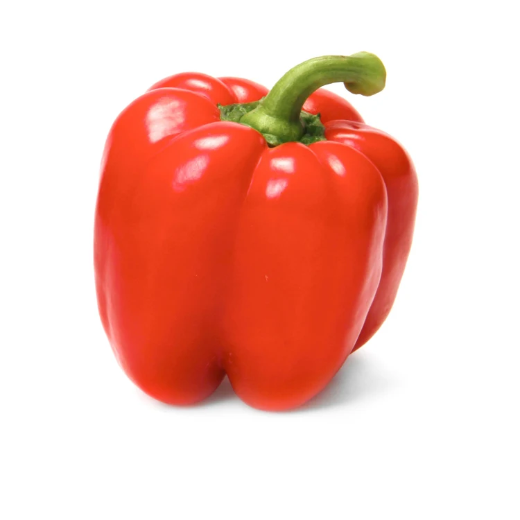 High Quality Fresh Capsicum Bell pepper For Sale