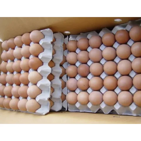 Chicken Eggs Ostrich Eggs, Chicken Eggs, Turkey Eggs Fresh Table Eggs Brown And White Farm