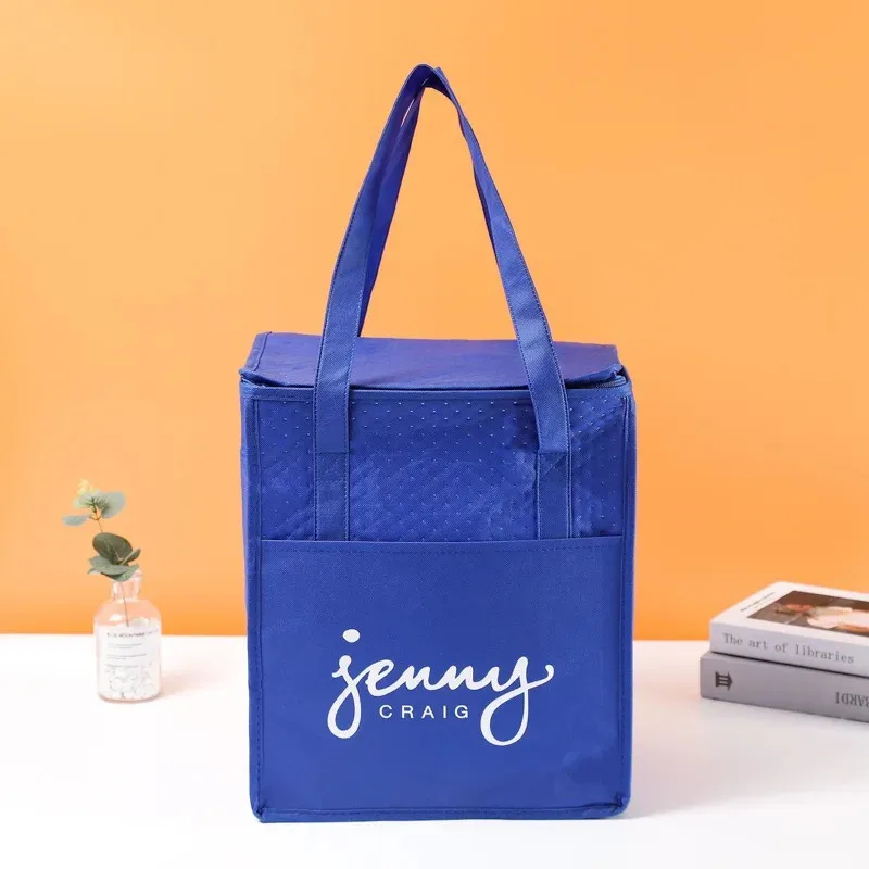 Vietnam Factory Price Insulated Cooler PP Non Woven Cooler Custom Eco Friendly Lunch Outdoor Bag