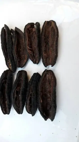 Dried Sea Cucumber with Best Price and High Quality 2022 From Vietnam