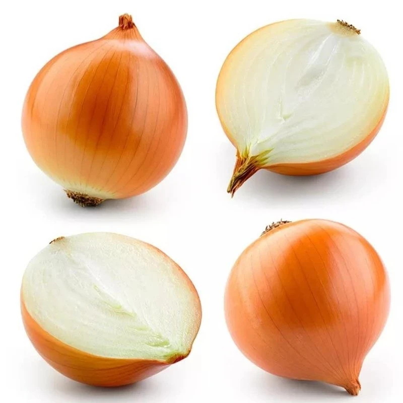 Top Quality Yellow Onion Cheap Yellow Onion