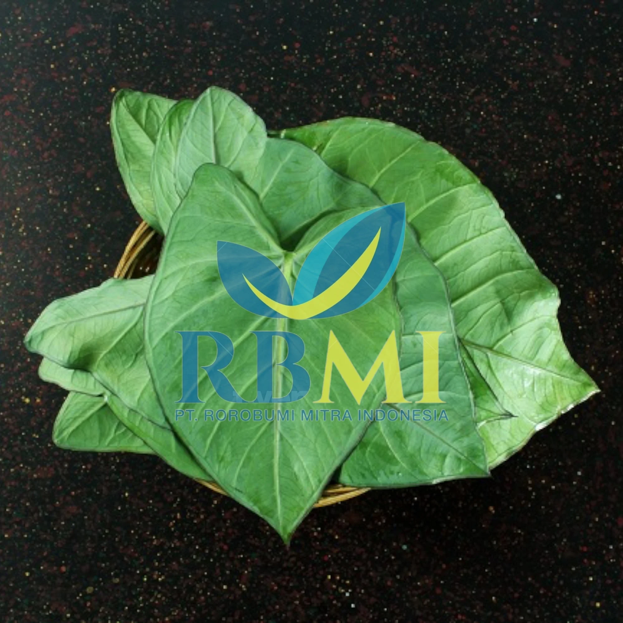 Supplier Taro leaves Graviola Leaf FROM Indonesia WITH PREMIUM QUALITY AND COMPETITIVE PRICE