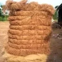 Coco Peat/Coco Fiber/Cocopeat/Peat Moss