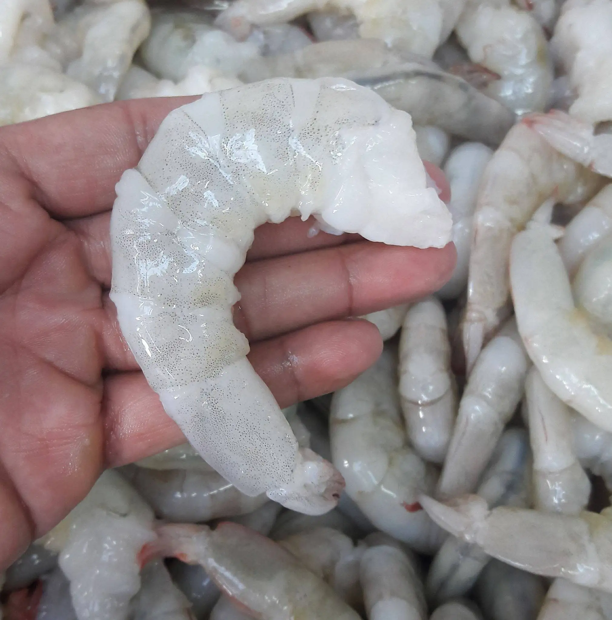 Hot Selling Black Tiger Shrimp PD IQF Frozen 100% Natural Fresh Seafood Best Quality Wholesale Suppliers