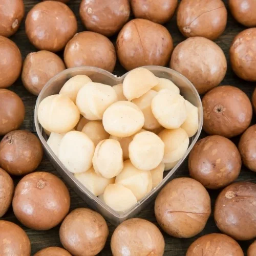 High-Quality Macadamia Nuts In Bulk Order Macadamia Nuts For Wholesale Perfect For Food Industry Applications