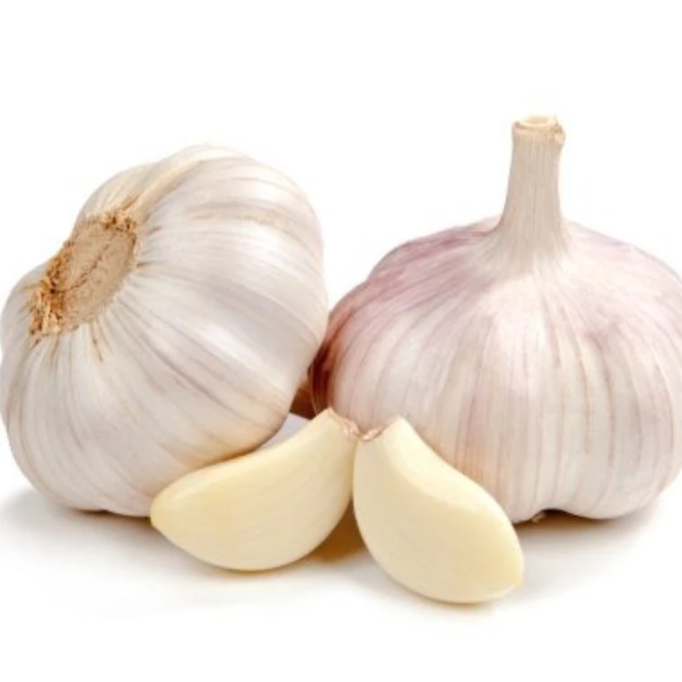 Good Standard Factory Direct In Mexico Fresh Normal Purple Garlic