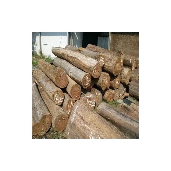 Top Selling Natural Eucalyptus Wood Logs Diverse Types Including Oak Pine Timber Teak Round Pattern Birch Beech Cherry