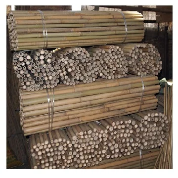 Best Quality Natural Bamboo Poles / Bamboo Canes/ Stakes for Agriculture Planting