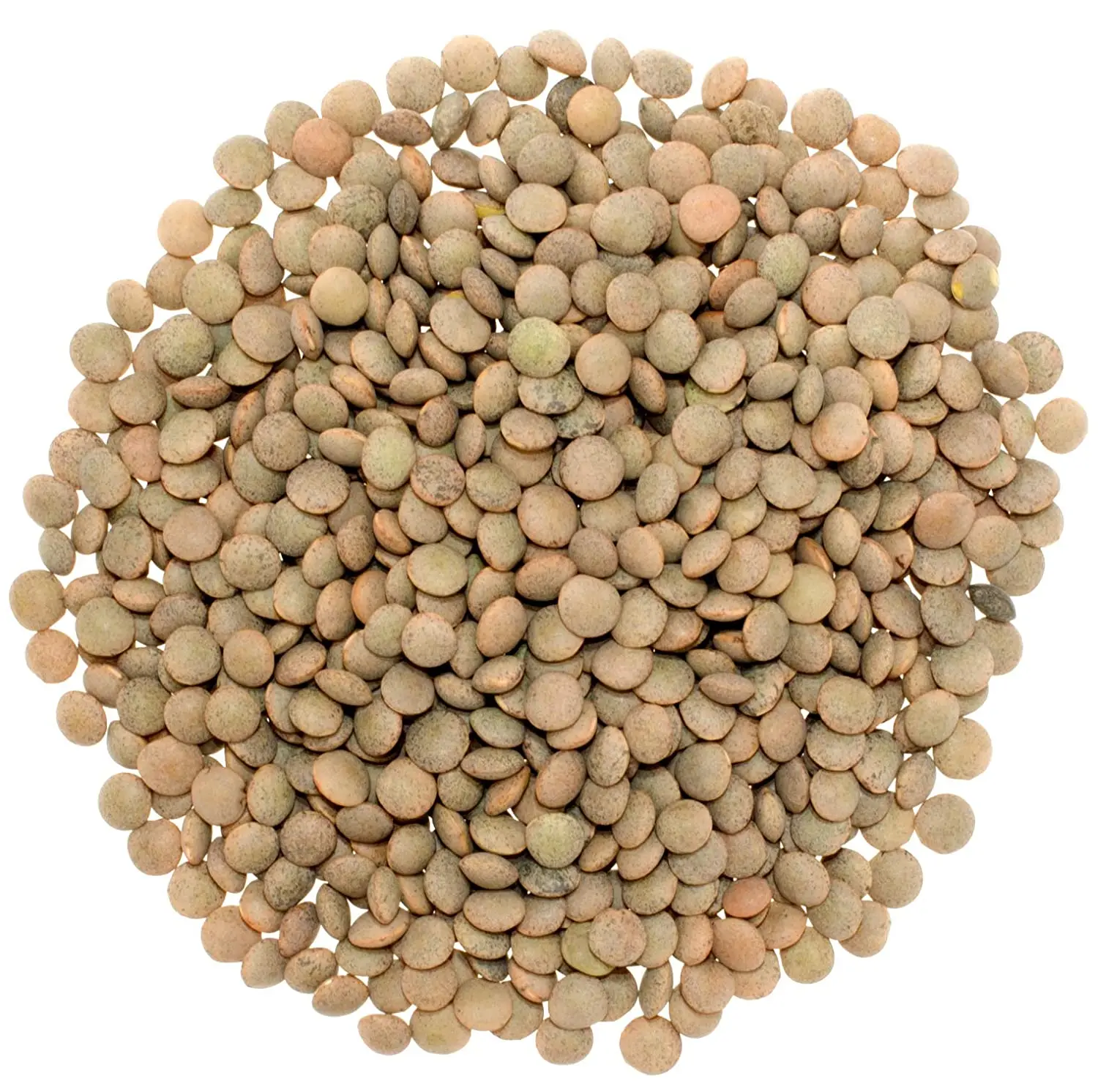 Высокое качество Германия зеленая чечевица (NON-GMO) готов