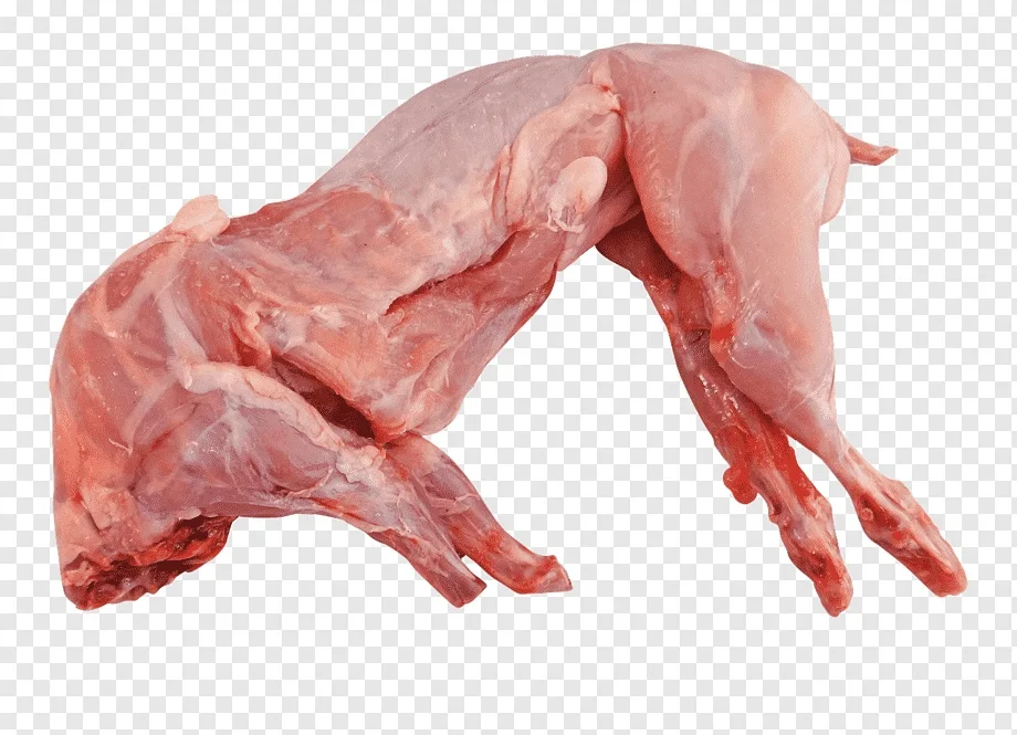 Rabbit Meat788.jpg