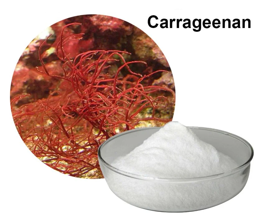 PREMIUM QUALITY FOOD-GRADE CARRAGEENAN POWDER from SEA MOSS  FOR THICKENING AND STABILIZING- IN VIETNAM