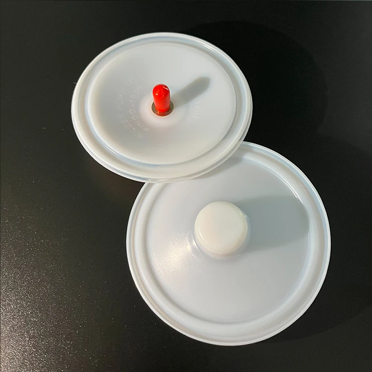 High Quality Thread 00-1030-55 PTFE Diaphragm for Wilden Pneumatic Diaphragm Pump Series Diafragma de ptfe