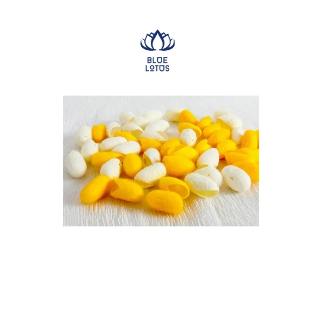 Кокон-червь Лучшая цена на экспорт