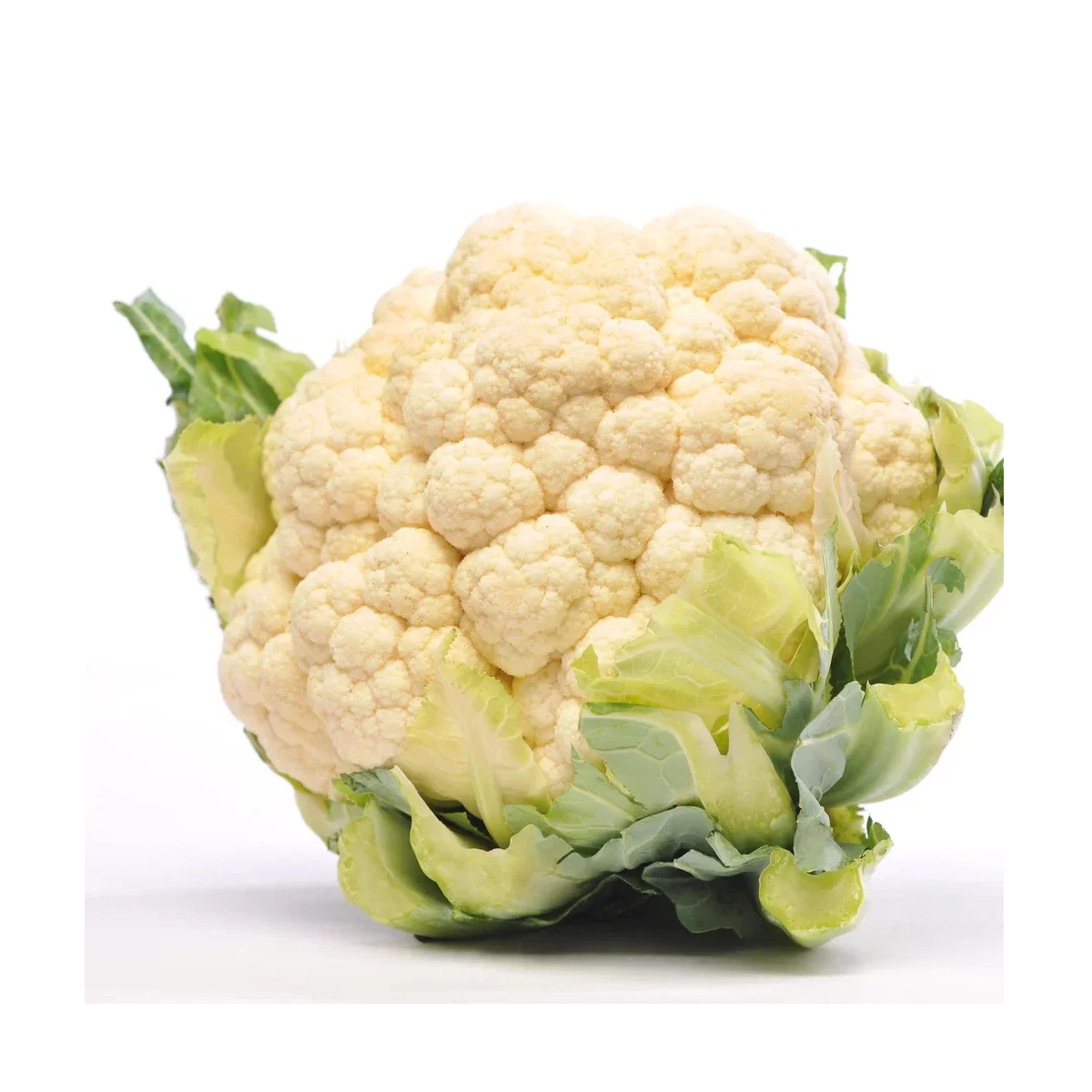 High grade fresh vegetables 7 kg in plastic or carton box natural fruits from Uzbekistan Fresh Cauliflower for food