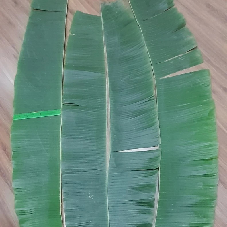 THE BEST PRICE - IQF FROZEN BANANA LEAVES BLANCHED ORIGIN VIETNAM READY TO EXPORT NEW PRODUCT 2023