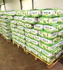 Special Item Lime Without Seed Keep Cool Or Refrigerated Green And Pale Yellow Organic Packed In Box Made In Vietnam