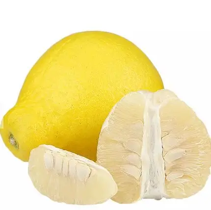 new crop top quality fresh white grapefruit