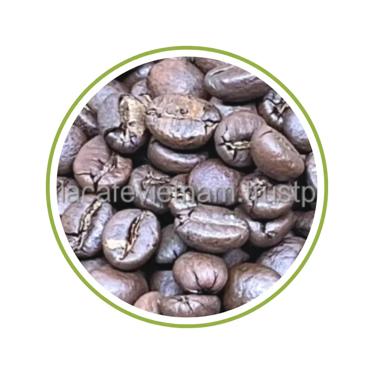 Roasted Arabica Good Price Supplier Private Label Coffee Customized Packaging Agricultural Vietnamese Product Manufacturer