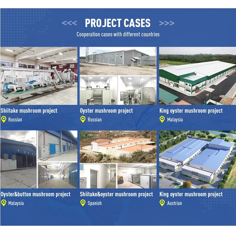 Mushroom Cultivation spawn plastic bottles