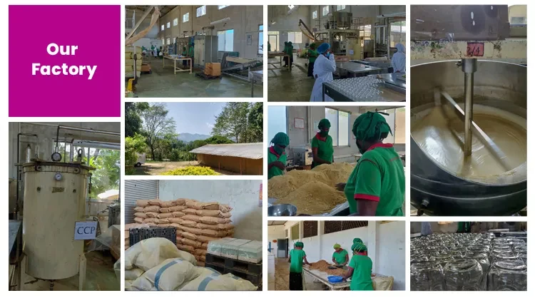 HACCP Certified Outstanding Quality No Chemicals Added 100% Pure & Organic Vegan Oat Milk Powder