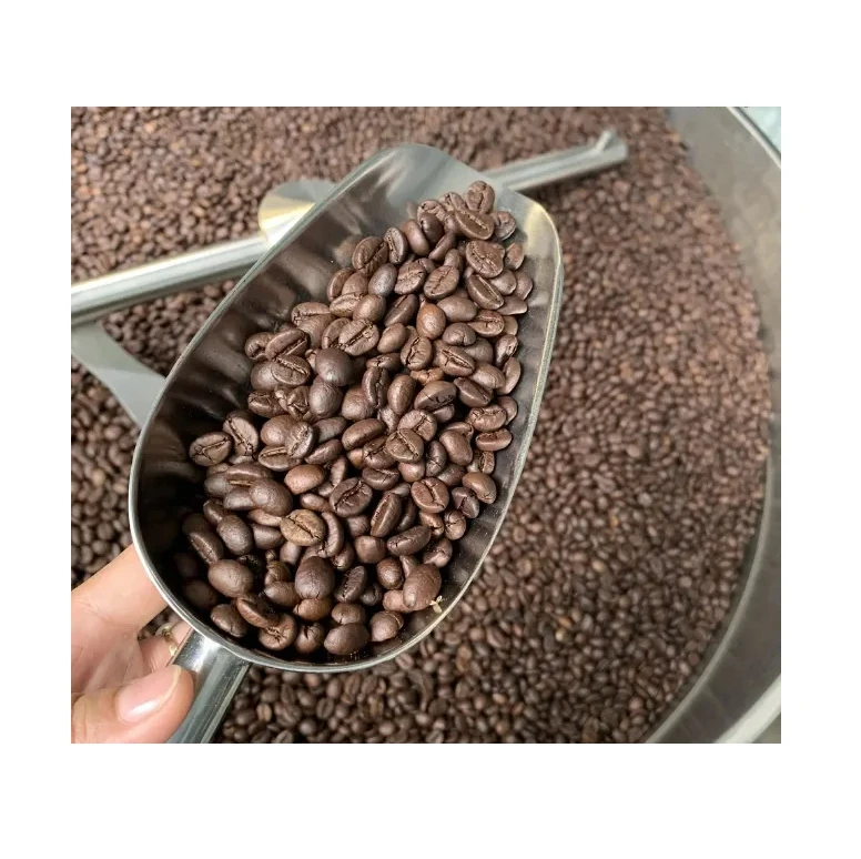 Vietnamese green coffee beans Arabica/ Robusta coffee beans ready to export around the world for wholesale whole beans coffee