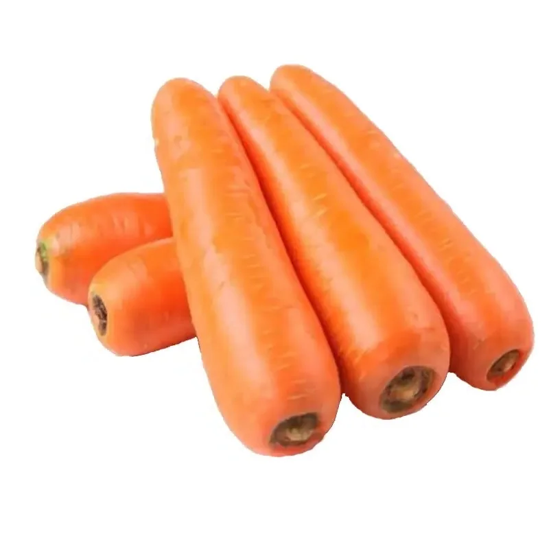 Высокоэкспортная стандартная ферма, обработанные свежие овощи, изготавливаемые оранжевыми моркови с настраиваемой упаковкой из Вьетнама