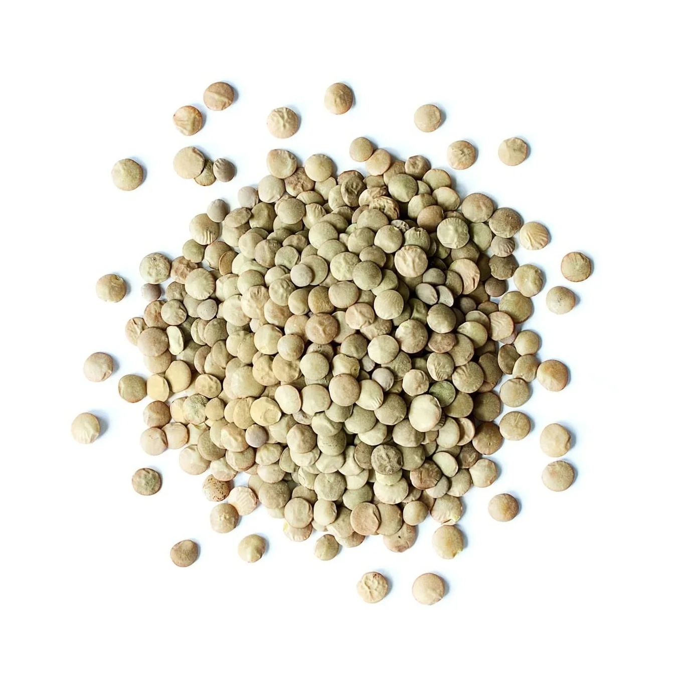 Русская зеленая чечевица готова к экспорту