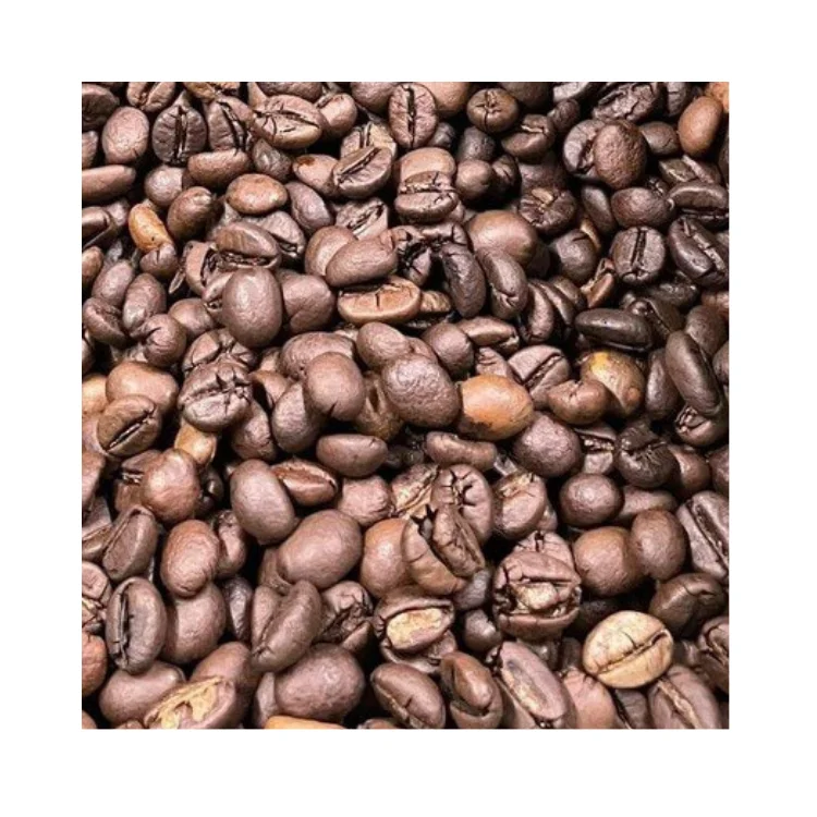 Roasted Arabica Reasonable Price Arabica Coffee Beans Customized Logo Vietnamese Coffee Vietnam Coffee Manufacturer