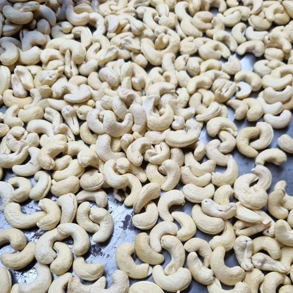 Cheap Bulk Ready To Ship Raw Cashew Nuts Cashew Nuts Cashew Nuts W320, W240, W180, SK, LP2 Low MOQ