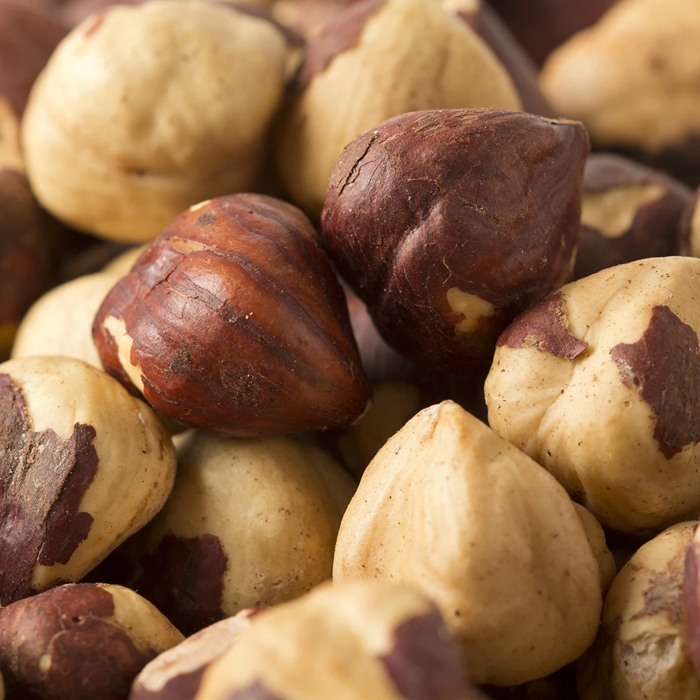 Original High Quality Organic Hazelnut at Low Price for sale