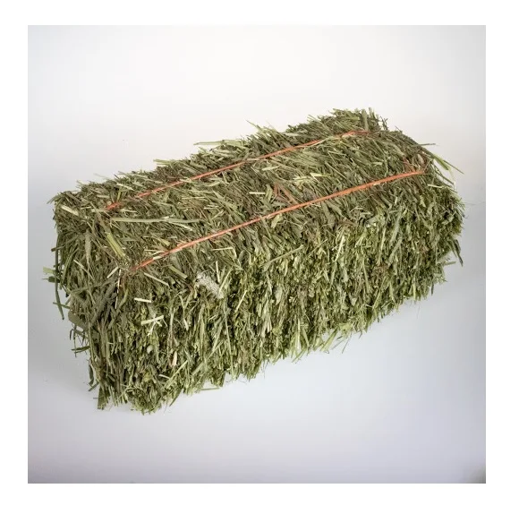 Quality Timothy Hay Quality Alfalfa Hay/ Timothy Hay/ Lucerne Clover in Bales