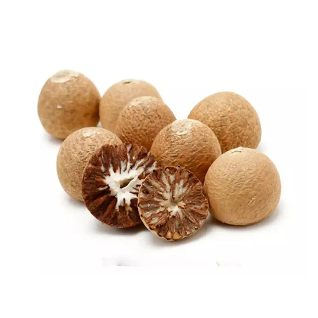 Dried Raw Best Quality Whole Betel Nuts Best Selling Export Quality