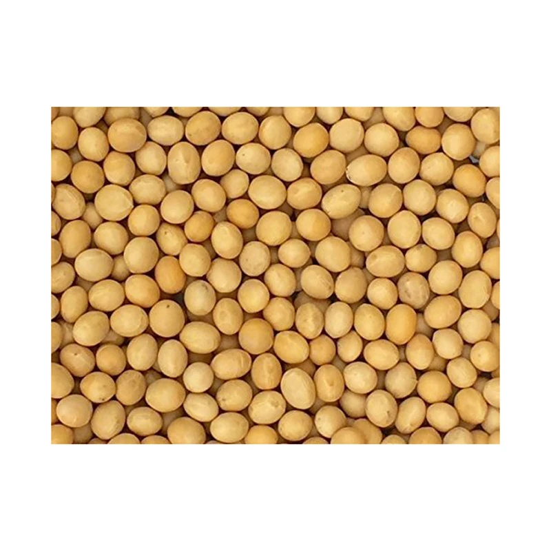 Лучшее качество Non GMO поставщик сои