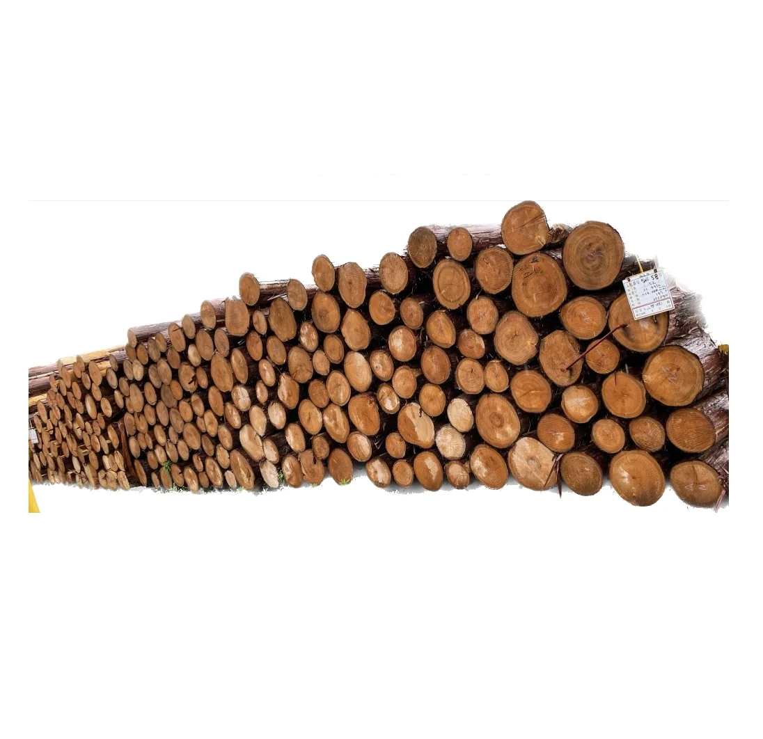 Unique Beautiful Sustainable Whole Timber Round Hinoki Wood Logs Price