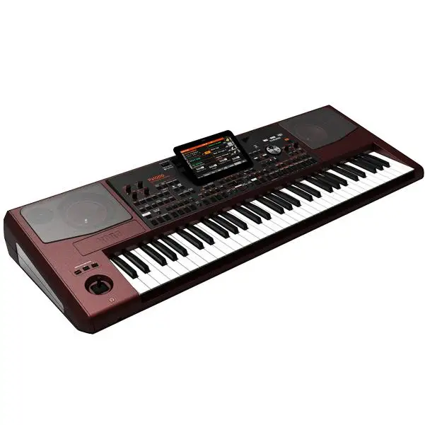 Instant Sales NEW Korg PA1000 PA800 PA700 PA600 61-Key Professional High Performance Arranger PA-1000