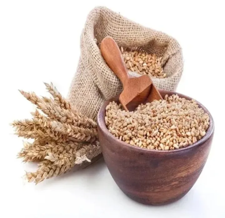 Durum hard wheat grains 100% prices from Ukraine