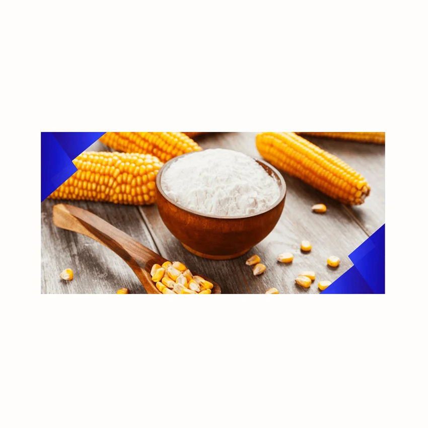 Bulk Modified Waxy Corn Maize Starch in Bulk Brands Price China Organic Corn Starch/maize Price in Bulk for Sale Corn Starch