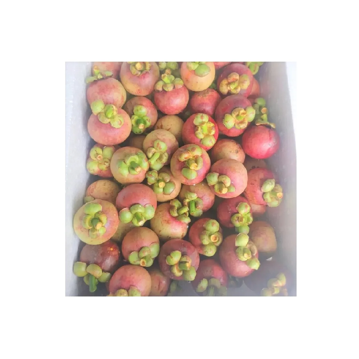 Vietnam Wholesale Frozen Preserved Fruits Bulk Packaging Long Preservation Period Frozen Mangosteen For Exporting