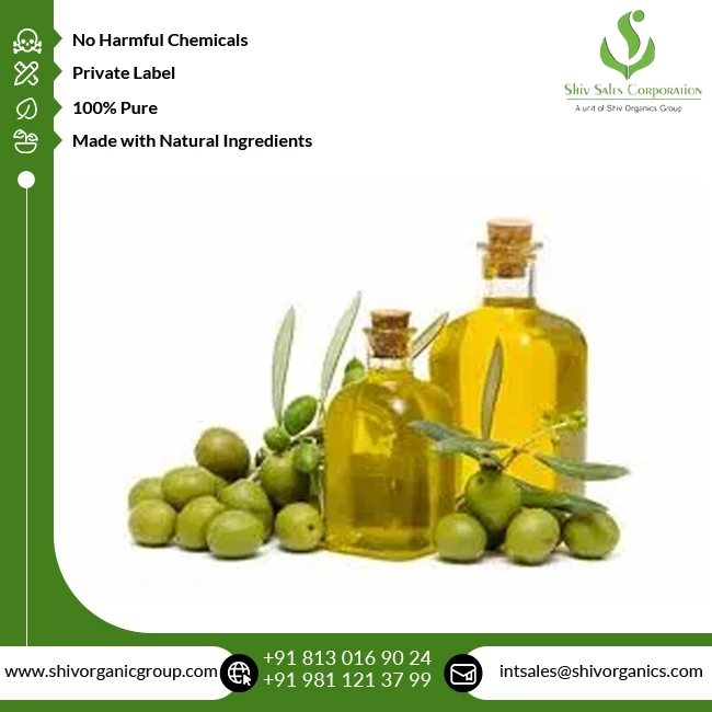 Trusted Supplier of Excellent Quality Widely Selling Natural Cold Pressed 100% Pure Olive Oil from India at Factory Price