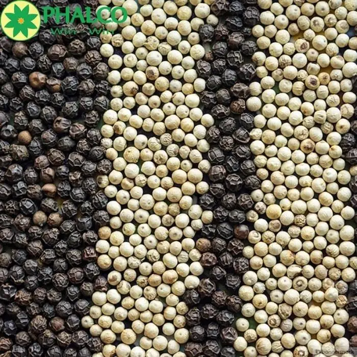 PINHEAD 1MM 1.5MM 2MM LIGHT BERRY WHITE PEPPER 630GL PEPPER CORN 2023 CROP OFFER