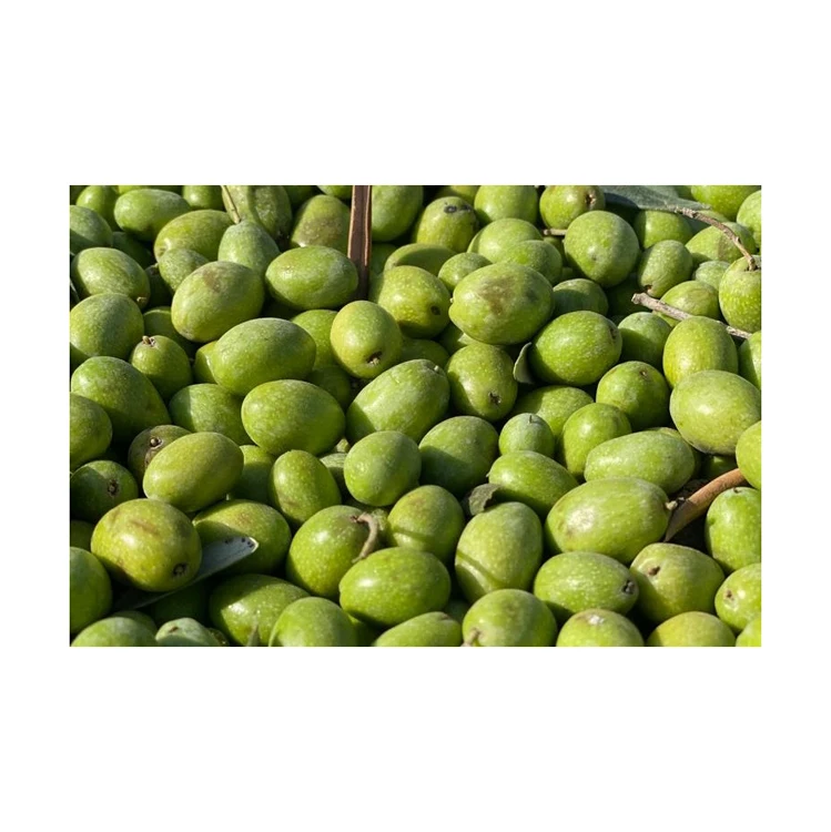 Fresh Pitted Green Olives order now
