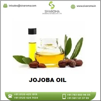 Sivaroma Jojoba Oil.jpg