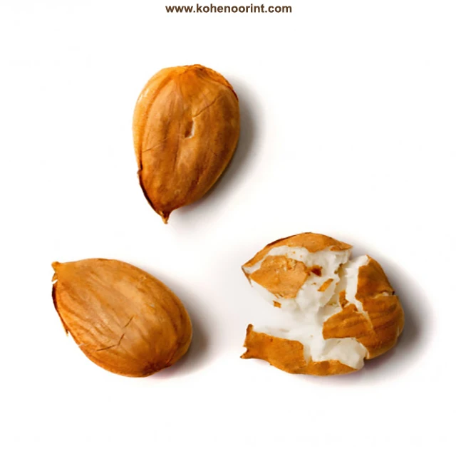 Apricot Kernels ~ Prunus armeniaca Abrikozenpitten 15Kg and 01 Kg Bags