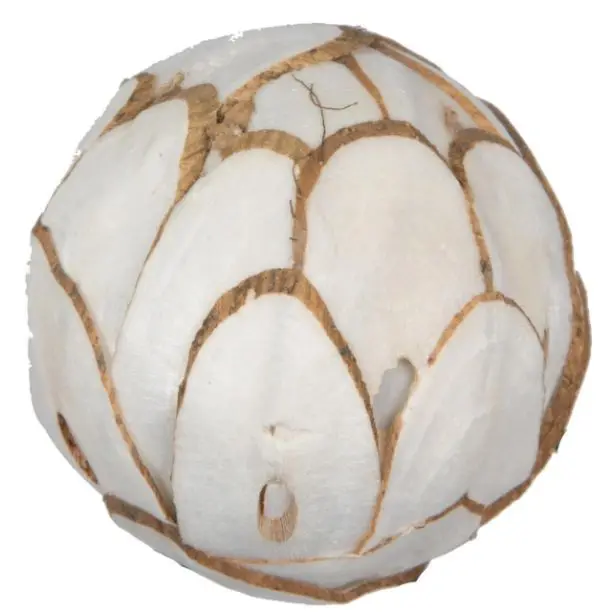 Popular Premium Quality Sola Chips Ball for Wedding Home Office Event & Dried Flower Arrangement