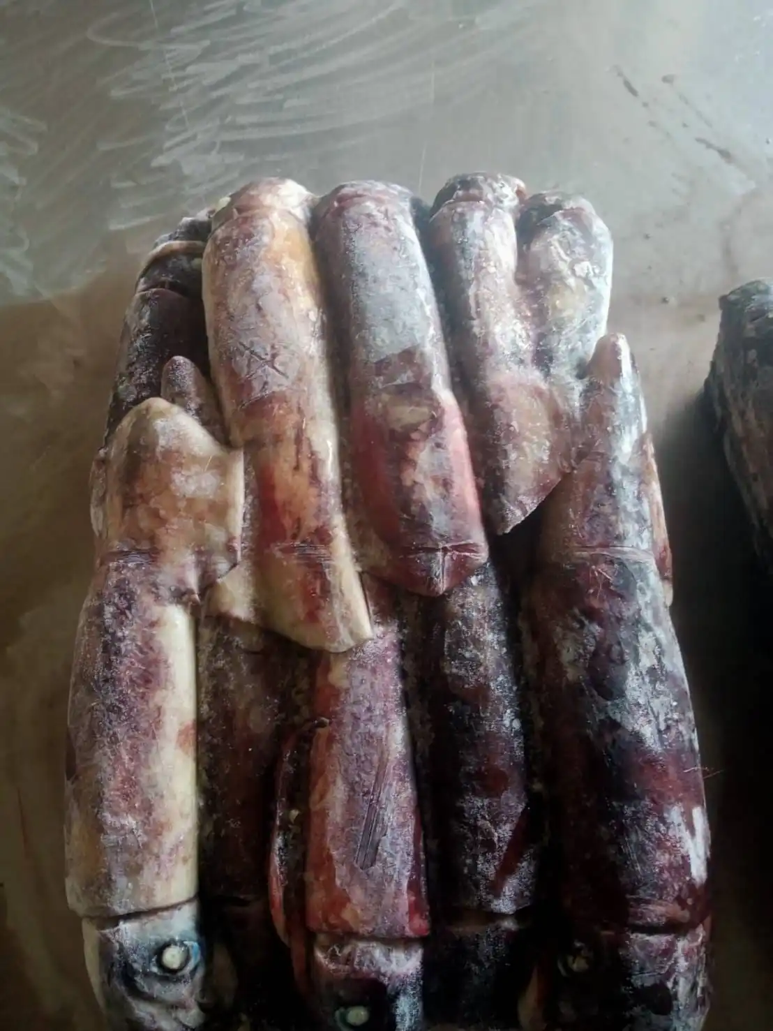 Attractive Price Calamari W/r Indian Squid Seafood black SQUID WHOLE ROUND CHINA SEAFOOD IMPORTER seafrozen squid