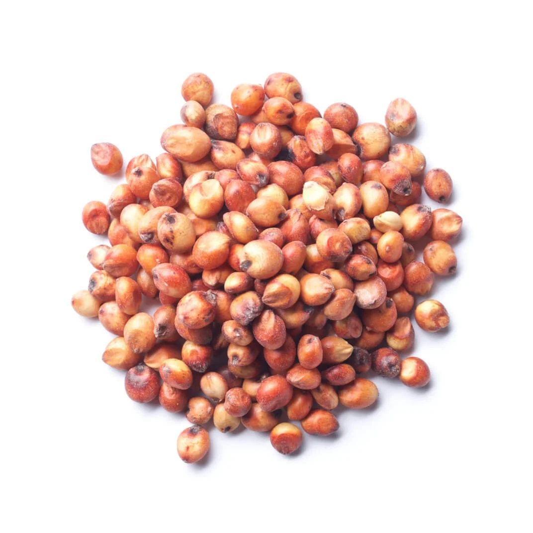 Bulk Sorghum Grains Bulk Red and White Sorghum seeds Price Per Ton for Birds Food