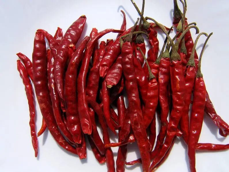 Air Dried Tianjin Red Chilies Block Thai Dried Chili Peppers 12% Moisture Wholesale OEM Packaging
