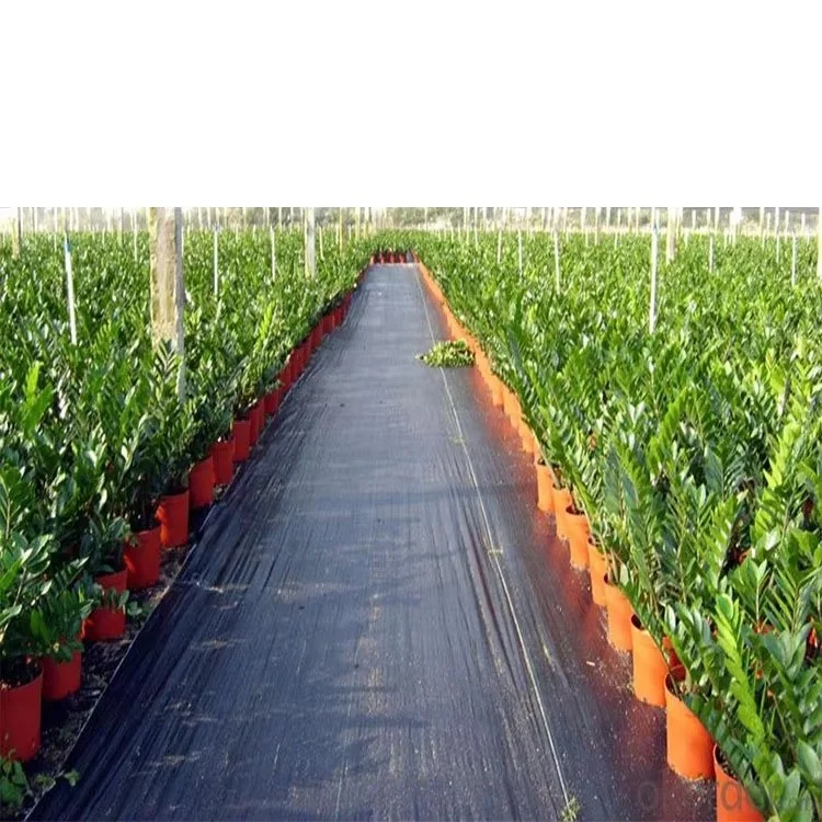 Factory Low Price Soil Erosion Control and UV Stabilized Prevent Grass Growth Ground Cover Landscape Fabric